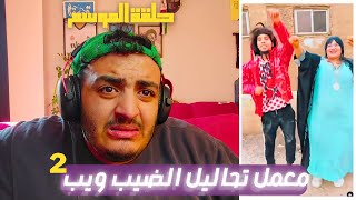 معمل تحاليل الضيب ويب 2