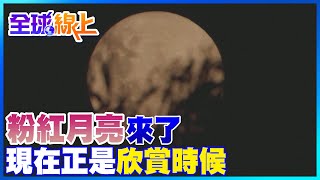 粉紅月亮來了! 夢幻光暈照亮夜空 現在正是欣賞時候｜全球線上     @中天新聞CtiNews