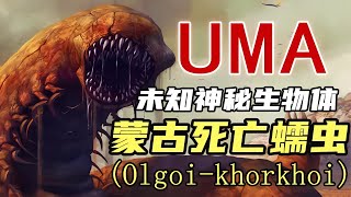 戈壁灘神秘血色巨蟲現身！真實存在嗎？讓我們揭開謎底！ #UMA系列 #未解之谜 #怪物传说 #水怪 #恶魔