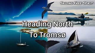 Heading North to Tromsø - Sailing Free Spirit