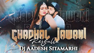 Chadhal Jawani Rashgulla | Remix | DJ Aadesh Sitamarhi  | #Neelkamal & #Shilpi #Bhojpuri Song 2024