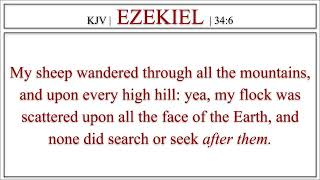 EZEKIEL 34:6 | My Sheep