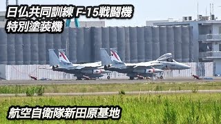 日仏共同訓練直前！航空自衛隊新田原基地！F-15戦闘機特別塗装機！大歓迎カラーでお出迎え！ Japan military , air fighter , 6247hijet