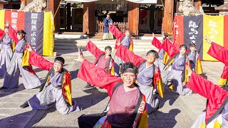 [4K] 環温　龍馬よさこい 2024 土曜日 龍馬演舞場（京都霊山護国神社）(中央)