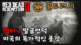 [레데리2] 골드러시 : 챕터2 - 미국의 목가적인 풍경