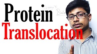 Protein translocation