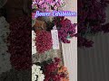 ❤️❤️ viral shots flowers love trending