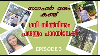 ഗോഫർ എന്ന അത്ഭുത മരം കണ്ട്‌ ബോട്ടിങ് നടത്തി പരുന്തും പാറയിലേക്ക്. .. #ksrtc #gavi