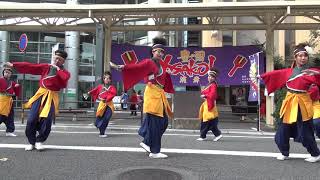 豊の国YOSAKOIまつり2017　周防紅華連（西新町会場）