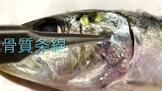 動画魚類図鑑NO.68 マイワシ