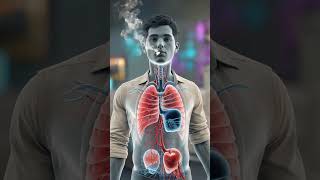 What Happens Inside Your Body When You Smoke | 3D Medical Animation