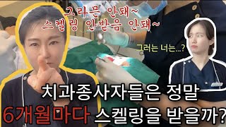 [슬기로운 치아생활 ep.3]치과종사자들은 정말 6개월마다 스켈링은 받을까?!