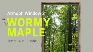 Atmoph Window 2 WORMY MAPLE