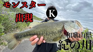 【バス釣り】一流スポットで人が居ないポイントに行くと、モンスターが現れた【紀の川】