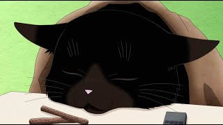 When Your Cat Has More Common Sense Than You | Dekiru Neko wa Kyou mo Yuuutsuデキる猫は今日も憂鬱