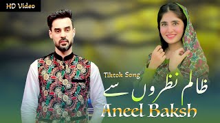Anil Bakhsh Pashto Songs 2022 | Yam Laka Majnoon | Pashto Urdu Farsi | Official Music Video