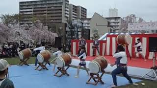 荒川新開太鼓　2015シダレザクラ祭り　新相打ち太鼓