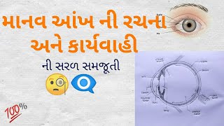 Human eye | માનવ આંખ | માનવ આંખ ની રચના અને કાર્યવાહી