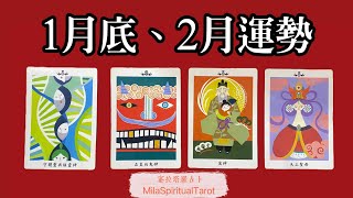 你的一月尾巴到二月份運勢【蜜拉塔羅占卜MilaSpiritualTarot】