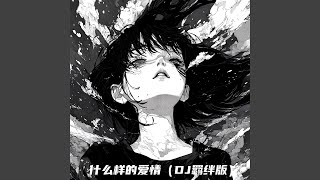 什么样的爱情 (DJ羁绊版)