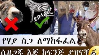 ኡስታዝ#ስለ ኢትዮጵያ ላይ ስለሚሸጠው ያህያ ስጋ ምን አለ#1أمنية_وإن3_تحققت