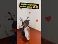 ආදරේ හංගලා දෙන්නේ පියවරුමයි sinhala youtubeshorts srilanka baby children