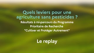 Avancées à mi-parcours : Combiner les leviers pour des approches orientées solutions