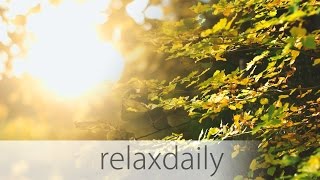 relaxdaily - N°011 (official video - Season 1 Album Version)