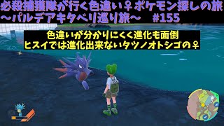 【タッツー】 必殺捕獲隊が行く！ぶらり色違い♀ポケモン探しの旅～パルデアキタベリ巡り旅～　#155【ポケモンsv】