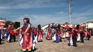 AOMORI花嵐桜組・よっちょれ