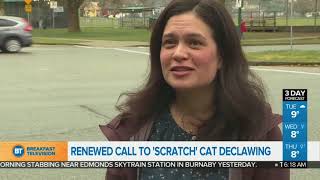 Renewed Call To 'Scratch' Cat Declawing