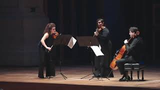 Beethoven Trio G major op.9.no.1 Liza Ferschtman, Jennifer Stumm, Christian Poltéra Iumina Festival