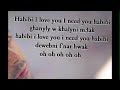 Pitbull & Ahmed Chawki - Habibi I love you (lyric song)