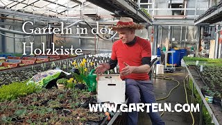 Garteln in in der Holzkiste - die volle Länge