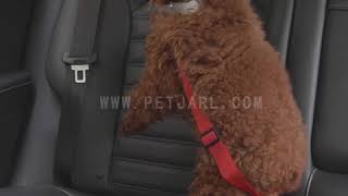 Pet Jarl Best Dog Seat Belt For Pet Safety - 1
