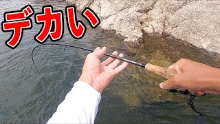 【バス釣り】久しぶりにあのルアー使ったら１時間でデカバスが連発しました！