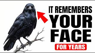 This Bird Remembers Your Face. For Years.