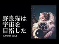 〖30分耐久フリーbgm〗野良猫は宇宙を目指した the stray cat aimed for space しゃろう〖公式〗