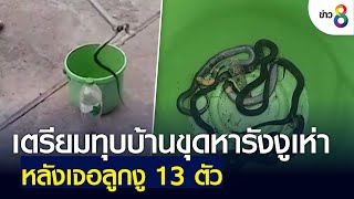 เตรียมทุบบ้านขุดหารังงูเห่า หลังเจอลูกงู 13 ตัว | คุยข่าวเย็นช่อง8 | 3 มี.ค. 2565