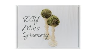 DIY Moss Balls / How to Make Moss Balls / Moss Decor