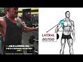 14 best lateral shoulders workout with dumbells barbell machine and cable at gym