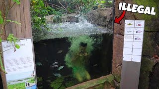 JUMPING INTO $1,200,000 AQUARIUM (Security Called)