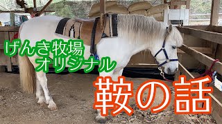 【馬】ホースセラピー専用の鞍について【馬具】