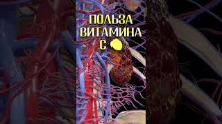 Чем полезен витамин C? #здоровье #витамины #медицина #польза #питание #витаминc #жкт