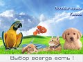 Зоо товары Домик для кошек с когтеточкой столбиком