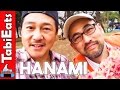 Hanami Cherry Blossom Picnic in Tokyo's Yoyogi Park