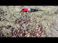 Diablo Pruning Blade on a  Milwaukee Super Saws All