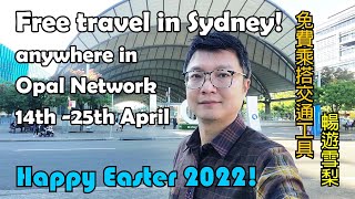 Free travel anywhere in Opal Network in Sydney! 免費乘搭交通工具 暢遊雪梨! Happy Easter 2022!