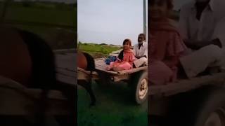 കുതിരവണ്ടി സവാരി🤣🤣😂 horse carriage#shorts#shortsfeed #funny