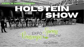 Quebec Spring Show 2026 - Holstein Show